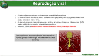 o Os vírus só se reproduzem no interior de uma célula hospedeira.
o O ácido nucléico dos vírus possui somente uma pequena parte dos genes necessários
para a síntese de novos vírus.
o As demais enzimas necessárias para a síntese protéica, síntese de ribossomos, RNAt,
RNAm e ATP são fornecidas pela célula hospedeira.
o Portanto, os vírus necessitam da via metabólica da célula para replicarem-se.
Para estudarmos a reprodução viral vamos analisar a
reprodução do bacteriófago, parasita intracelular de
bactérias.
Bacteriófago
Reprodução viral
 