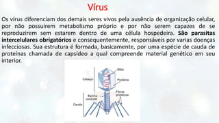 Vírus
Os vírus diferenciam dos demais seres vivos pela ausência de organização celular,
por não possuírem metabolismo próprio e por não serem capazes de se
reproduzirem sem estarem dentro de uma célula hospedeira. São parasitas
intercelulares obrigatórios e consequentemente, responsáveis por varias doenças
infecciosas. Sua estrutura é formada, basicamente, por uma espécie de cauda de
proteínas chamada de capsídeo a qual compreende material genético em seu
interior.
 