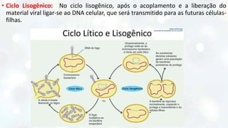 • Ciclo Lisogênico: No ciclo lisogênico, após o acoplamento e a liberação do
material viral ligar-se ao DNA celular, que será transmitido para as futuras células-
filhas.
 