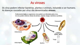 As viroses
Os vírus podem infectar bactérias, plantas e animais, incluindo o ser humano.
As doenças causadas por vírus são denominadas viroses.
 