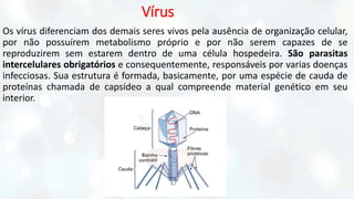 vírus.pptx