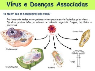 Vírus e Doenças Associadas
4) Quem são os hospedeiros dos vírus?
Praticamente todos os organismos vivos podem ser infectados pelos vírus.
Os vírus podem infectar células de animais, vegetais, fungos, bactérias e
protistas.
Célula Animal
Célula Vegetal Bactéria
Fungo
Protozoário
Vírus
 