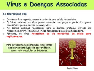 Vírus e Doenças Associadas
5) Reprodução Viral
o Os vírus só se reproduzem no interior de uma célula hospedeira.
o O ácido nucléico dos vírus possui somente uma pequena parte dos genes
necessários para a síntese de novos vírus.
o As demais enzimas necessárias para a síntese protéica, síntese de
ribossomos, RNAt, RNAm e ATP são fornecidas pela célula hospedeira.
o Portanto, os vírus necessitam da via metabólica da célula para
replicarem-se.
Para estudarmos a reprodução viral vamos
analisar a reprodução do bacteriófago,
parasita intracelular de bactérias.
Bacteriófago
 