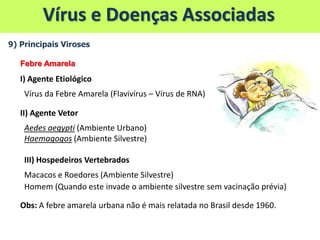 9) Principais Viroses
Febre Amarela
I) Agente Etiológico
Vírus da Febre Amarela (Flavivírus – Vírus de RNA)
II) Agente Vetor
Aedes aegypti (Ambiente Urbano)
Haemagogos (Ambiente Silvestre)
III) Hospedeiros Vertebrados
Macacos e Roedores (Ambiente Silvestre)
Homem (Quando este invade o ambiente silvestre sem vacinação prévia)
Obs: A febre amarela urbana não é mais relatada no Brasil desde 1960.
Vírus e Doenças Associadas
 