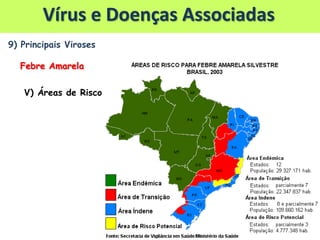 9) Principais Viroses
Febre Amarela
V) Áreas de Risco
Vírus e Doenças Associadas
 