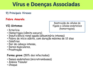 9) Principais Viroses
Febre Amarela
VI) Sintomas
• Icterícia
• Hemorragia (vômito escuro)
• Insuficiência renal aguda (albuminúria intensa)
• Febre de início súbito, com duração máxima de 12 dias
• Calafrios
• Dor de cabeça intensa,
• Dores musculares,
• Prostração
Forma grave (50% dos infectados)
• Danos endoteliais (microtromboses)
• Anóxia Tissular
• Choque
Destruição de células do
fígado e células endoteliais
(hemorragias).
Vírus e Doenças Associadas
 