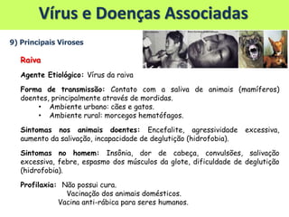 Vírus e Doenças Associadas
9) Principais Viroses
Raiva
Agente Etiológico: Vírus da raiva
Forma de transmissão: Contato com a saliva de animais (mamíferos)
doentes, principalmente através de mordidas.
• Ambiente urbano: cães e gatos.
• Ambiente rural: morcegos hematófagos.
Sintomas nos animais doentes: Encefalite, agressividade excessiva,
aumento da salivação, incapacidade de deglutição (hidrofobia).
Sintomas no homem: Insônia, dor de cabeça, convulsões, salivação
excessiva, febre, espasmo dos músculos da glote, dificuldade de deglutição
(hidrofobia).
Profilaxia: Não possui cura.
Vacinação dos animais domésticos.
Vacina anti-rábica para seres humanos.
 