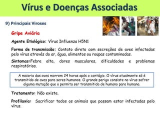 Vírus e Doenças Associadas
9) Principais Viroses
Gripe Aviária
Agente Etiológico: Vírus Influenza H5N1
Forma de transmissão: Contato direto com secreções de aves infectadas
pelo vírus através do ar, água, alimentos ou roupas contaminadas.
Sintomas:Febre alta, dores musculares, dificuldades e problemas
respiratórios.
Tratamento: Não existe.
Profilaxia: Sacrificar todos os animais que possam estar infectadas pelo
vírus.
A maioria das aves morrem 24 horas após o contágio. O vírus atualmente só é
transmitido de aves para seres humanos. O grande perigo consiste no vírus sofrer
alguma mutação que o permita ser transmitido de humano para humano.
 