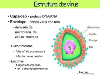• ©
Prof.Kyoshi Beraldo
Estruturadosvírus
• Capsídeo - protege DNA/RNA
• Envelope - certos vírus não têm
• derivado da
membrana da
célula infectada
• Glicoproteínas
• "chave" de acesso para
infectar novas células
• Enzimas
• funções de infecção
• ex: transcriptase reversa
Herpes
 