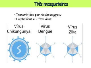 ©
Três mosqueteiros
• Transmitidos por Aedes aegypty
• 1 alphavírus e 2 flavivírus
Prof.Kyoshi
 