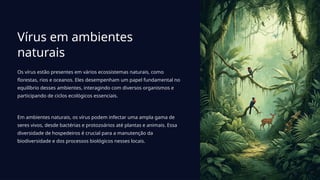 Vírus em ambientes
naturais
Os vírus estão presentes em vários ecossistemas naturais, como
florestas, rios e oceanos. Eles desempenham um papel fundamental no
equilíbrio desses ambientes, interagindo com diversos organismos e
participando de ciclos ecológicos essenciais.
Em ambientes naturais, os vírus podem infectar uma ampla gama de
seres vivos, desde bactérias e protozoários até plantas e animais. Essa
diversidade de hospedeiros é crucial para a manutenção da
biodiversidade e dos processos biológicos nesses locais.
 