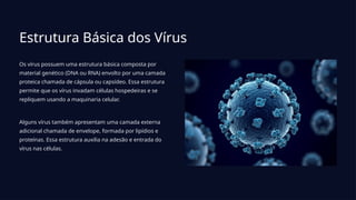 Estrutura Básica dos Vírus
Os vírus possuem uma estrutura básica composta por
material genético (DNA ou RNA) envolto por uma camada
proteica chamada de cápsula ou capsídeo. Essa estrutura
permite que os vírus invadam células hospedeiras e se
repliquem usando a maquinaria celular.
Alguns vírus também apresentam uma camada externa
adicional chamada de envelope, formada por lipídios e
proteínas. Essa estrutura auxilia na adesão e entrada do
vírus nas células.
 