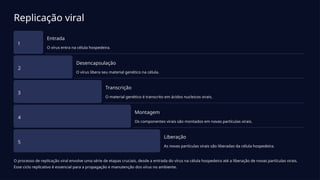 Replicação viral
1
Entrada
O vírus entra na célula hospedeira.
2
Desencapsulação
O vírus libera seu material genético na célula.
3
Transcrição
O material genético é transcrito em ácidos nucleicos virais.
4
Montagem
Os componentes virais são montados em novas partículas virais.
5
Liberação
As novas partículas virais são liberadas da célula hospedeira.
O processo de replicação viral envolve uma série de etapas cruciais, desde a entrada do vírus na célula hospedeira até a liberação de novas partículas virais.
Esse ciclo replicativo é essencial para a propagação e manutenção dos vírus no ambiente.
 