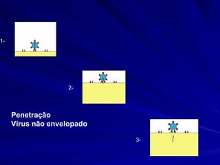 Penetração
Vírus não envelopado
1-
2-
3-
 