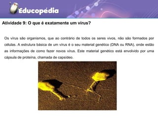 Atividade 9: O que é exatamente um vírus?


 Os vírus são organismos, que ao contrário de todos os seres vivos, não são formados por
 células. A estrutura básica de um vírus é o seu material genético (DNA ou RNA), onde estão
 as informações de como fazer novos vírus. Este material genético está envolvido por uma
 cápsula de proteína, chamada de capsídeo.
 