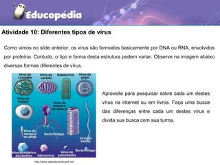 Atividade 10: Diferentes tipos de vírus

Como vimos no slide anterior, os vírus são formados basicamente por DNA ou RNA, envolvidos
por proteína. Contudo, o tipo e forma desta estrutura podem variar. Observe na imagem abaixo
diversas formas diferentes de vírus.




                                                  Aproveite para pesquisar sobre cada um destes
                                                  vírus na internet ou em livros. Faça uma busca
                                                  das diferenças entre cada um destes vírus e
                                                  divida sua busca com sua turma.




              http://www.sabedoria.ebrasil.net/
 