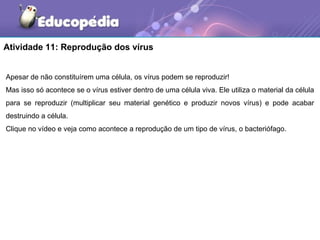 Atividade 11: Reprodução dos vírus


Apesar de não constituírem uma célula, os vírus podem se reproduzir!
Mas isso só acontece se o vírus estiver dentro de uma célula viva. Ele utiliza o material da célula
para se reproduzir (multiplicar seu material genético e produzir novos vírus) e pode acabar
destruindo a célula.
Clique no vídeo e veja como acontece a reprodução de um tipo de vírus, o bacteriófago.
 