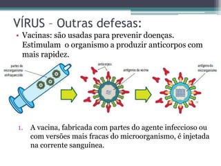 VÍRUS – Outras defesas:
• Vacinas: são usadas para prevenir doenças.
Estimulam o organismo a produzir anticorpos com
mais rapidez.
1. A vacina, fabricada com partes do agente infeccioso ou
com versões mais fracas do microorganismo, é injetada
na corrente sanguínea.
 