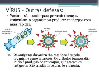 VÍRUS – Outras defesas:
• Vacinas: são usadas para prevenir doenças.
Estimulam o organismo a produzir anticorpos com
mais rapidez.
2. Os antígenos da vacina são reconhecidos pelo
organismo como invasores. Os glóbulos brancos dão
início à produção de anticorpos, que atacam os
antígenos. São criadas as células de memória.
 