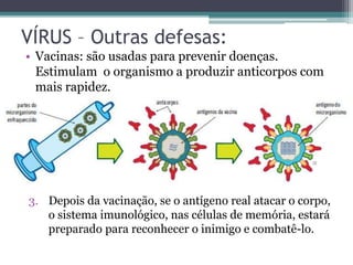 VÍRUS – Outras defesas:
• Vacinas: são usadas para prevenir doenças.
Estimulam o organismo a produzir anticorpos com
mais rapidez.
3. Depois da vacinação, se o antígeno real atacar o corpo,
o sistema imunológico, nas células de memória, estará
preparado para reconhecer o inimigo e combatê-lo.
 