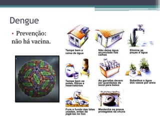 Dengue
• Prevenção:
não há vacina.
 