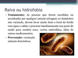 Raiva ou hidrofobia
• Tratamento: As pessoas que forem mordidas ou
arranhadas por qualquer animal selvagem ou doméstico
não vacinado, devem lavar muito bem o local da ferida
com água e sabão e procurar imediatamente um posto de
saúde para receber soro, vacina antirrábica, além de
outros medicamentos.
• Prevenção: vacinação dos
animais domésticos.
 