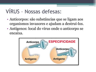 VÍRUS – Nossas defesas:
• Anticorpos: são substâncias que se ligam aos
organismos invasores e ajudam a destruí-los.
• Antígenos: local do vírus onde o anticorpo se
encaixa.
 