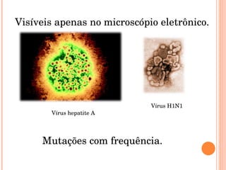 Visíveis apenas no microscópio eletrônico. Vírus hepatite A Vírus H1N1 Mutações com frequência. 