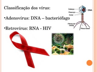 Classificação dos vírus: Adenovírus: DNA – bacteriófago Retrovírus: RNA - HIV 