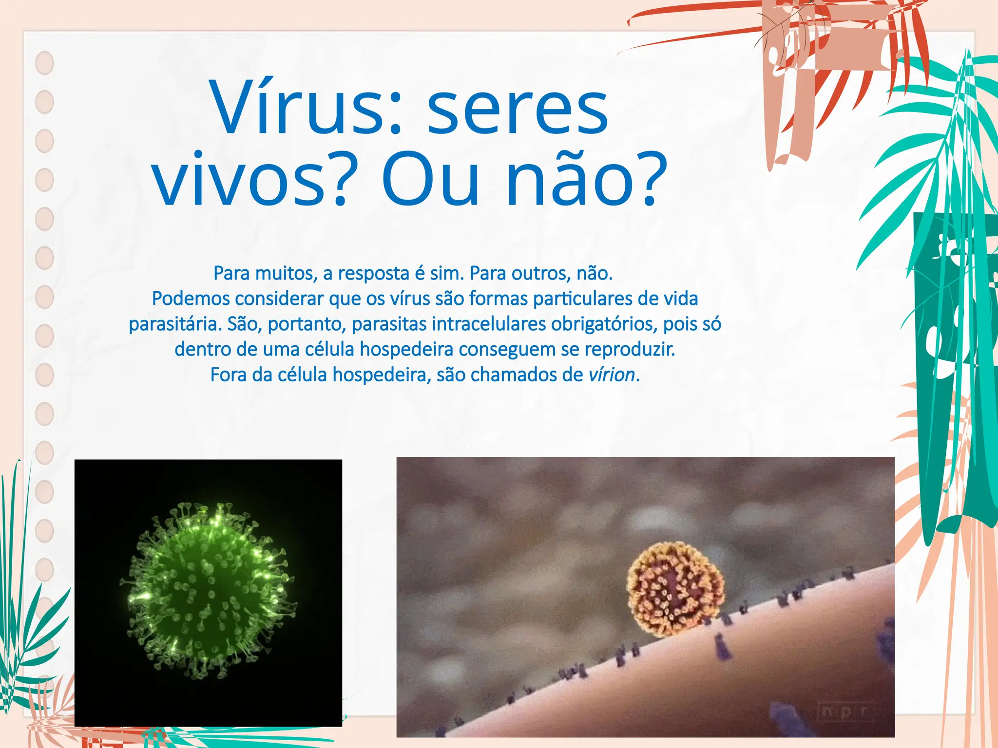 Aula sobre Vírus - características e replicação viral. | PPT