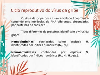 Ciclo reprodutivo do vírus da gripe
O vírus da gripe possui um envelope lipoproteico
contendo oito moléculas de RNA diferentes, circundadas
por proteínas do capsídeo.
Tipos diferentes de proteínas identificam o vírus da
gripe:
Hemaglutininas: conhecidas como espícula H,
identificadas por índices numéricos (N1, N2);
Neuroaminidases: conhecidas por espícula N,
identificadas por índices numéricos (H0, H1, H2, etc.).
 