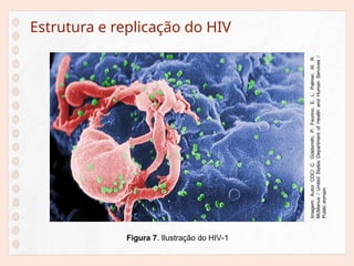 Estrutura e replicação do HIV
Figura 7. Ilustração do HIV-1
Imagem:
Autor
CDC/
C.
Goldsmith,
P.
Feorino,
E.
L.
Palmer,
W.
R.
McManus
/
United
States
Department
of
Health
and
Human
Services
/
Public
domain
 