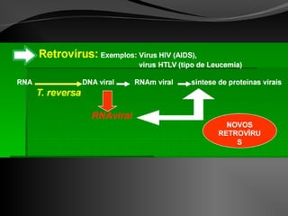 Vírus  - Tipos e Doenças Virais -  Biologia A - Profª Lara