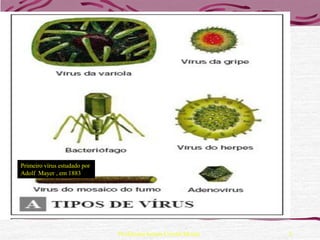 Primeiro vírus estudado por
Adolf Mayer , em 1883




                              Professora Ionara Urrutia Moura   2
 