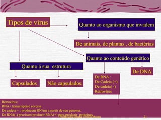 Tipos de vírus                                  Quanto ao organismo que invadem


                                                 De animais, de plantas , de bactérias

                                                         Quanto ao conteúdo genético
            Quanto á sua estrutura
                                                                               De DNA
                                                               De RNA :
      Capsulados             Não capsulados                    De Cadeia (+)
                                                               De cadeia( -)
                                                               Retrovírus

Retrovírus:
RNA+ transcriptase reversa
De cadeia + : produzem RNAm a partir de seu genoma.
De RNA(-) precisam produzir RNA(+) para produzir proteínas
                                     Professora Ionara Urrutia Moura              21
 