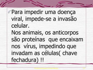 Para impedir uma doença
viral, impede-se a invasão
celular.
Nos animais, os anticorpos
são proteínas que encaixam
nos vírus, impedindo que
invadam as células( chave
fechadura) !!
        Professora Ionara Urrutia Moura   23
 