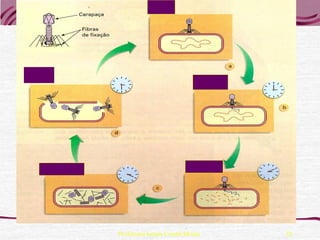 Professora Ionara Urrutia Moura   32
 