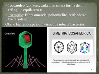  Icosaedro (20 faces, cada uma com a forma de um
triângulo equilátero );
 Exemplos: Febre amarela, poliomielite, resfriados e
bacteriófago.
Obs: o bacteriófago é um vírus que infecta bactérias.
Complexa
 