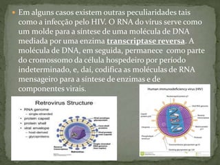  Em alguns casos existem outras peculiaridades tais
como a infecção pelo HIV. O RNA do vírus serve como
um molde para a síntese de uma molécula de DNA
mediada por uma enzima transcriptase reversa. A
molécula de DNA, em seguida, permanece como parte
do cromossomo da célula hospedeiro por período
indeterminado, e, daí, codifica as moléculas de RNA
mensageiro para a síntese de enzimas e de
componentes virais.
 