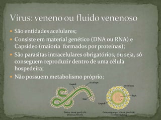  São entidades acelulares;
 Consiste em material genético (DNA ou RNA) e
Capsídeo (maioria formados por proteínas);
 São parasitas intracelulares obrigatórios, ou seja, só
conseguem reproduzir dentro de uma célula
hospedeira;
 Não possuem metabolismo próprio;
 