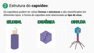 2
2 Estrutura do capsídeo:
Os capsídeos podem ter várias formas e estruturas e são classificados em
diferentes tipos. A forma do capsídeo está relacionada ao tipo de vírus.
HELICOIDAL
HELICOIDAL ICOSAÉDRICA
ICOSAÉDRICA COMPLEXA
COMPLEXA
 