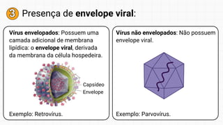 3
3 Presença de envelope viral:
Vírus envelopados: Possuem uma
camada adicional de membrana
lipídica: o envelope viral, derivada
da membrana da célula hospedeira.
Vírus não envelopados: Não possuem
envelope viral.
Exemplo: Retrovírus. Exemplo: Parvovírus.
Capsídeo
Envelope
 