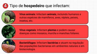 4
4 Tipo de hospedeiro que infectam:
Vírus animais: Infectam animais, incluindo humanos e
outras espécies de mamíferos, aves, répteis, peixes,
insetos, etc.
Vírus vegetais: Infectam plantas e podem causar
doenças como mosaico, murcha e manchas foliares.
Bacteriófagos: Infectam bactérias e atuam na regulação
das populações bacterianas em ambientes naturais e em
biotecnologia.
 