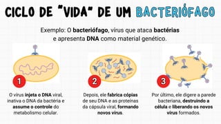 1
1 2
2 3
3
Exemplo: O bacteriófago, vírus que ataca bactérias
e apresenta DNA como material genético.
O vírus injeta o DNA viral,
inativa o DNA da bactéria e
assume o controle do
metabolismo celular.
Depois, ele fabrica cópias
de seu DNA e as proteínas
da cápsula viral, formando
novos vírus.
Por último, ele digere a parede
bacteriana, destruindo a
célula e liberando os novos
vírus formados.
CICLO DE “VIDA” DE UM BACTERIÓFAGO
CICLO DE “VIDA” DE UM BACTERIÓFAGO
 