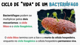 Bacteriófagos podem se
multiplicar pelos dois
mecanismos: o ciclo
lítico e o ciclo lisogênico.
CICLO DE “VIDA” DE UM BACTERIÓFAGO
CICLO DE “VIDA” DE UM BACTERIÓFAGO
O ciclo lítico termina com a lise e a morte da célula hospedeira,
enquanto no ciclo lisogênico a célula hospedeira permanece viva.
 