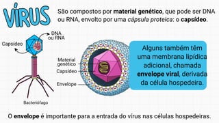 VÍRUS
VÍRUS
Alguns também têm
uma membrana lipídica
adicional, chamada
envelope viral, derivada
da célula hospedeira.
São compostos por material genético, que pode ser DNA
ou RNA, envolto por uma cápsula proteica: o capsídeo.
O envelope é importante para a entrada do vírus nas células hospedeiras.
Bacteriófago
DNA
ou RNA
Capsídeo
 