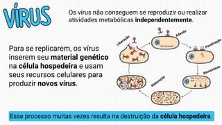 Para se replicarem, os vírus
inserem seu material genético
na célula hospedeira e usam
seus recursos celulares para
produzir novos vírus.
Os vírus não conseguem se reproduzir ou realizar
atividades metabólicas independentemente.
VÍRUS
VÍRUS
Esse processo muitas vezes resulta na destruição da célula hospedeira.
Adesão
Penetração
M
aturação
Biossíntese
Liberação
 