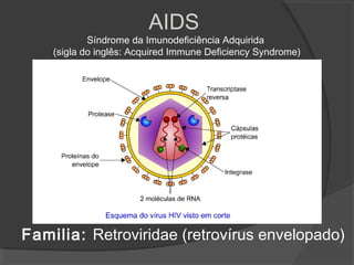 AIDS
Síndrome da Imunodeficiência Adquirida
(sigla do inglês: Acquired Immune Deficiency Syndrome)
Familia: Retroviridae (retrovírus envelopado)
 