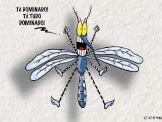 FEBRE AMARELA
Transmissao (2 formas):
 Urbana: femea Aedes aegypti
 Silvestre: especies do genero
Haemagogus
Norte (macacos sao hospedeiros principais, o
homem e hospedeiro acidental)
 