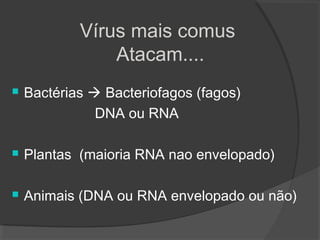 Vírus mais comus
Atacam....
 Bactérias  Bacteriofagos (fagos)
DNA ou RNA
 Plantas (maioria RNA nao envelopado)
 Animais (DNA ou RNA envelopado ou não)
 